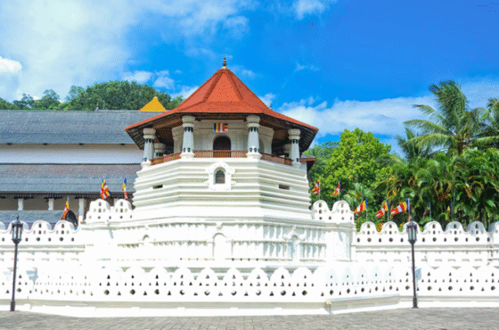 Kandy Tour