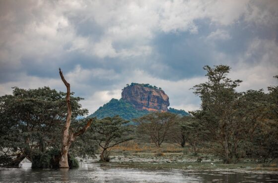 Best Time to Visit Sri Lanka: Weather, Festivals & Wildlife Guide