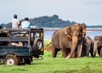 Yala Sri Lanka Yala Sri Lanka